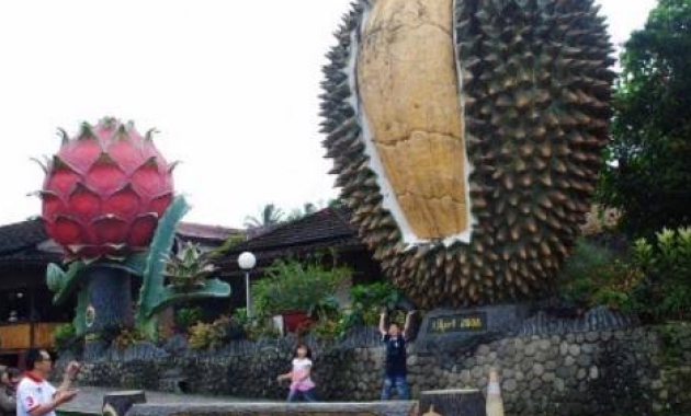 Wisata Warso Farm Surganya Pecinta Durian Di Kota Bogor