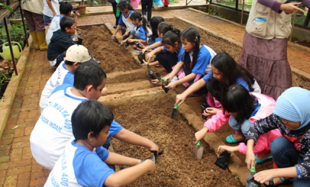 Wisata Edukasi D'Kandang Amazing Farm Depok