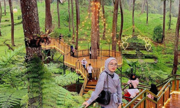 Lokasi Dan Harga Tiket Masuk Orchid Forest Lembang