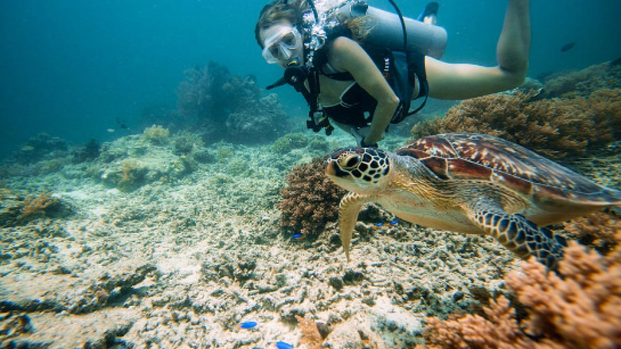 Spot Foto Dan Lokasi Objek Wisata Pantai Senggigi Lombok Fankymedia