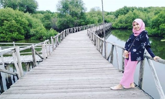 Objek Wisata Hutan Mangrove PIK Jakarta Utara