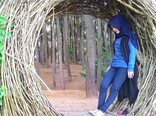 Hutan Pinus Pengger, Spot Wisata Alam Yang Instagramable