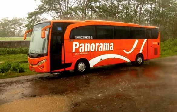 Harga Sewa Bus Panorama