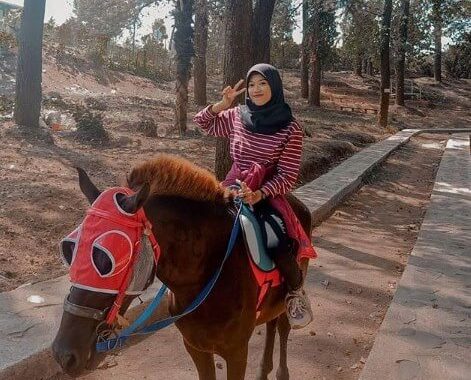 Woodland Kuningan, Lokasi, Harga Tiket Masuk dan Fasilitas