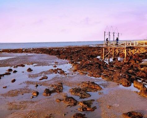 Lokasi Dan Harga Tiket Masuk Pantai Kelapa Tuban