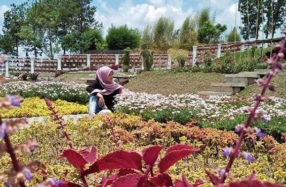 Foto, Lokasi Dan Harga Tiket Masuk Taman Anggrek Tegal