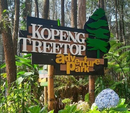 Kopeng Treetop Adventure Park, Bermain Wahana Menantang Di Semarang