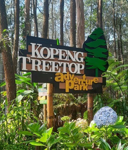 Kopeng Treetop Adventure Park, Bermain Wahana Menantang Di Semarang