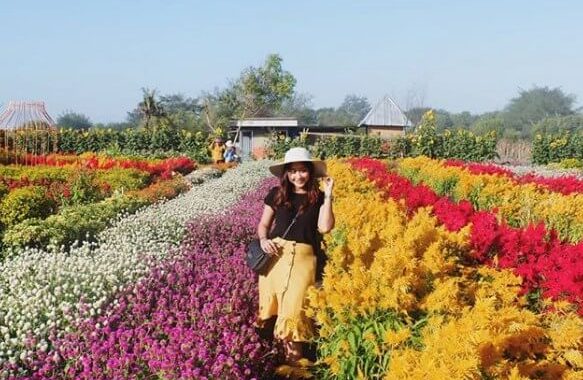 Romantic Garden Bantul, Fasilitas, Lokasi Dan Harga Tiket Masuk