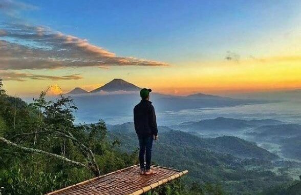 Bukit Isis Kulon Progo, Pesona Keindahan Alam Yang Memukau