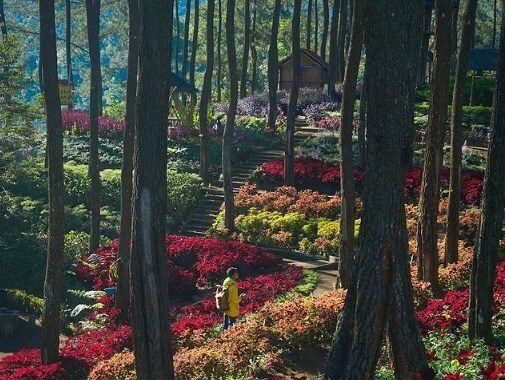 Mloko Sewu Ponorogo, Lokasi dan Harga Tiket Masuk