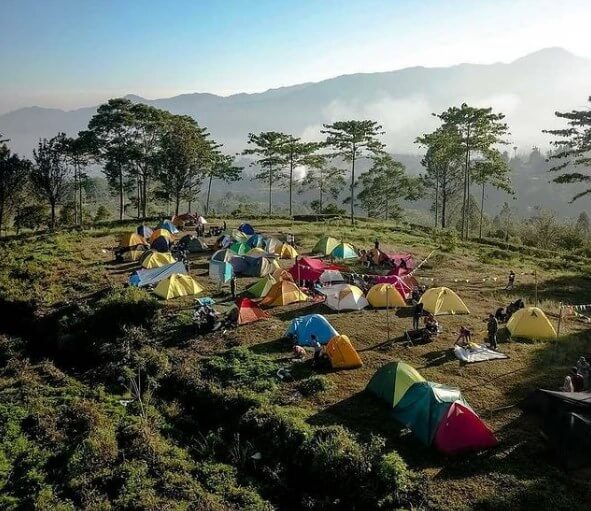 Camping Gayatri Citeko Bogor - Review Lokasi dan Harga Tiket Masuk