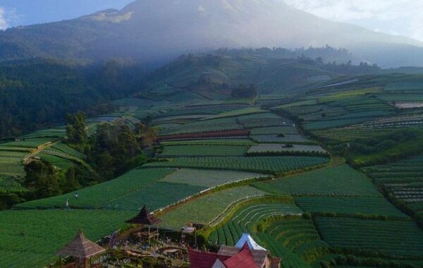 Desa Sukomakmur Magelang, Tempat Wisata Yang Terkenal Sebagai Negeri Sayur