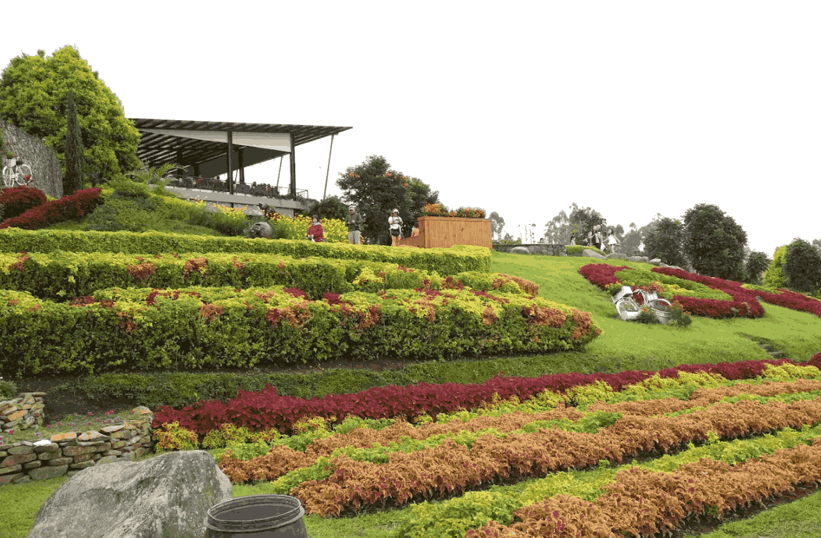 tempat Liburan di Ciwidey