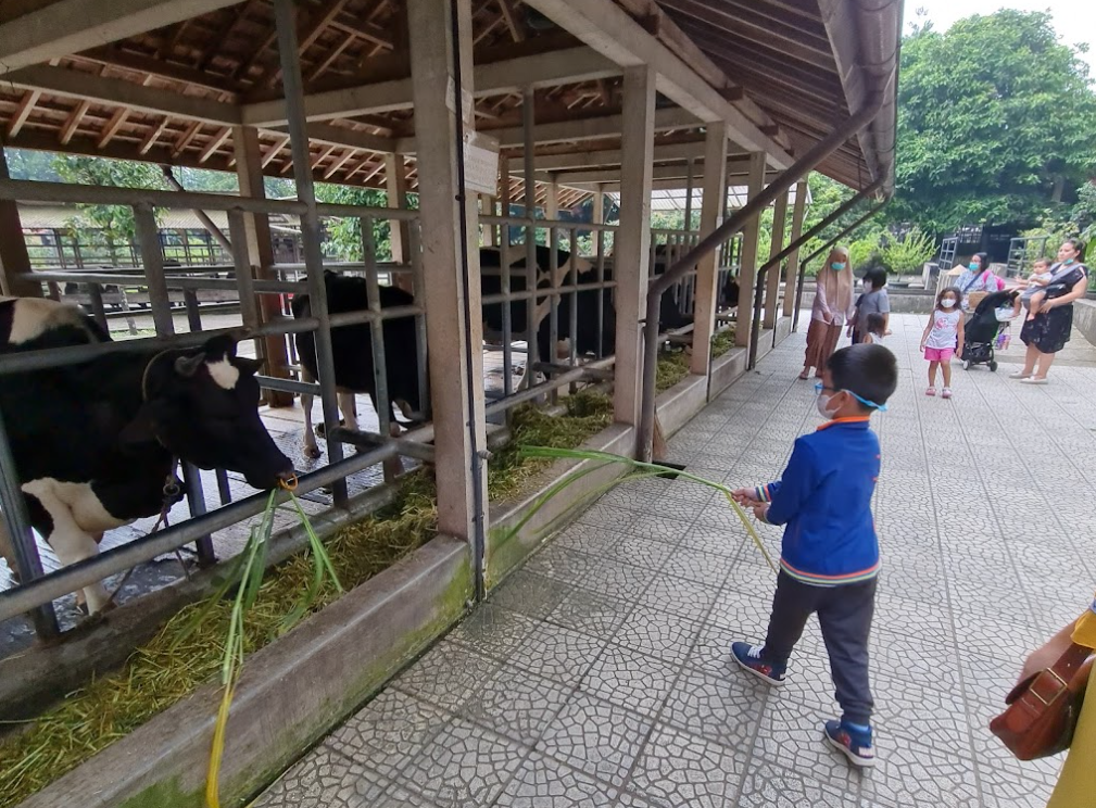 Tempat Wisata Bogor murah untuk keluarga