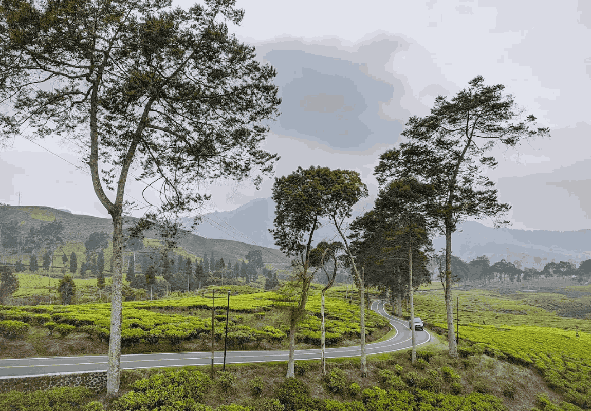 tempat Liburan di Ciwidey